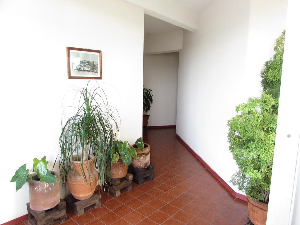 Hotel Puerto Piedra Puerto Escondido  Εξωτερικό φωτογραφία