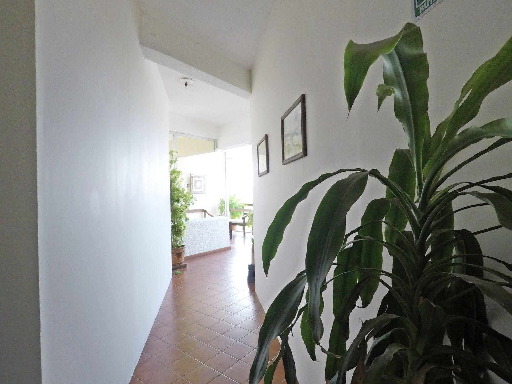 Hotel Puerto Piedra Puerto Escondido  Εξωτερικό φωτογραφία