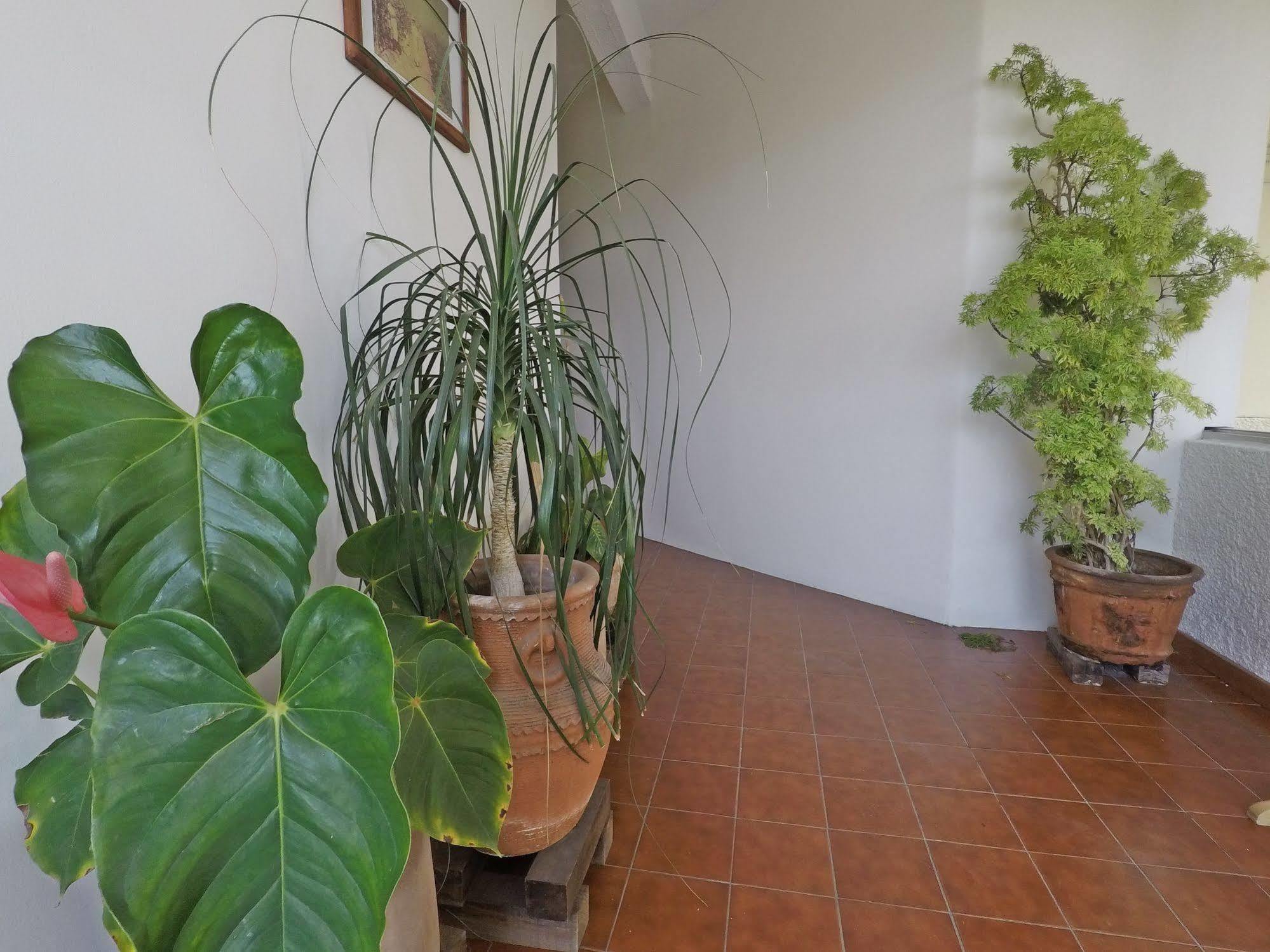 Hotel Puerto Piedra Puerto Escondido  Εξωτερικό φωτογραφία